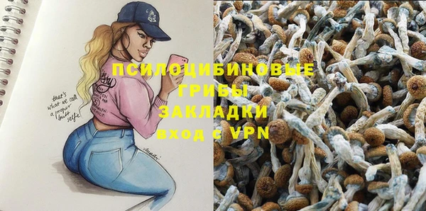 первитин Вязьма