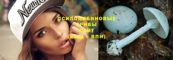 молекула духа Вязники