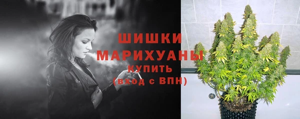 крисы Снежногорск