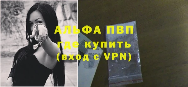 крисы Снежногорск