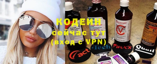 эйфоретик Вяземский