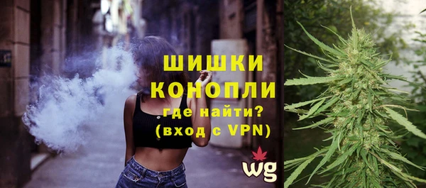 молекула духа Вязники