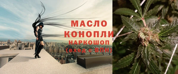 прущие грибы Снежинск