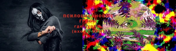 молекула духа Вязники