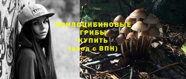 эйфоретик Вяземский