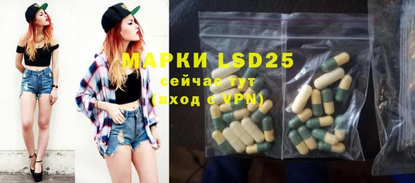 эйфоретик Вяземский