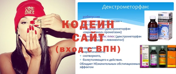 эйфоретик Вяземский