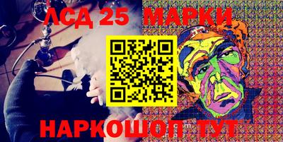 крисы Славгород