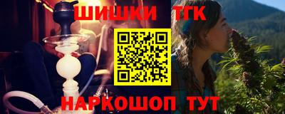крисы Славгород