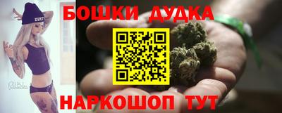 крисы Славгород