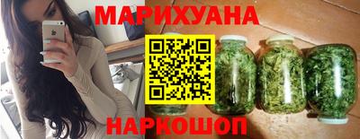 крисы Славгород