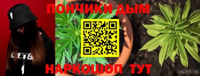 крисы Славгород