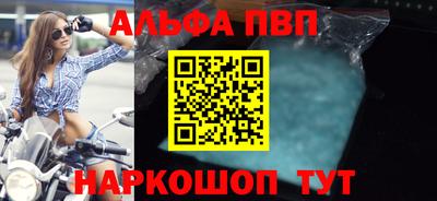 крисы Славгород