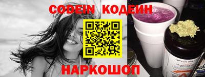 крисы Славгород