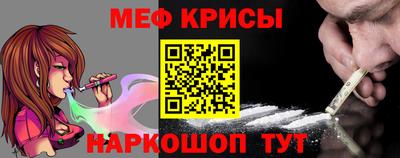 крисы Славгород