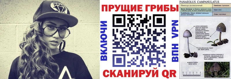 ОМГ ОМГ сайт  Снежинск  Галлюциногенные грибы мухоморы 